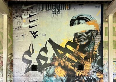 Wall Wraps