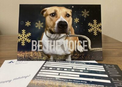 Business Holiday Cards